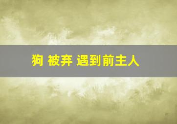 狗 被弃 遇到前主人